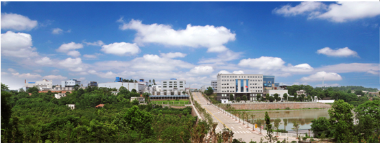 Zhuzhou Xinglong New Material Co., Ltd.